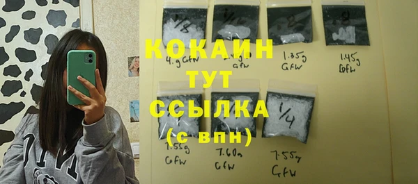 шишки Пересвет