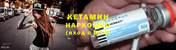 шишки Пересвет