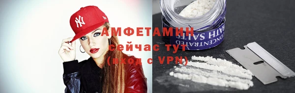 шишки Пересвет