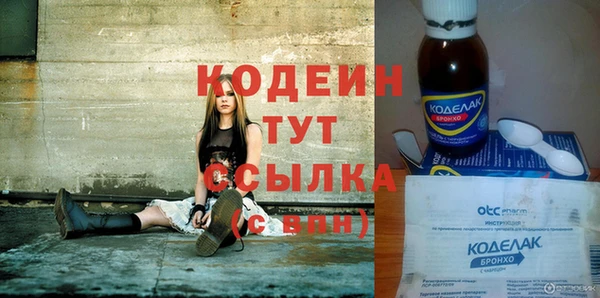шишки Пересвет