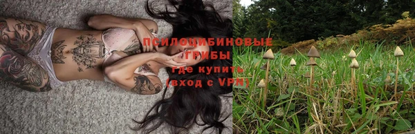 марки lsd Пестово