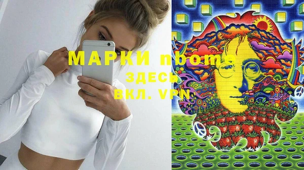 шишки Пересвет