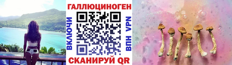 купить наркоту  Зубцов  Галлюциногенные грибы Psilocybine cubensis 
